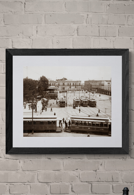 Vista del Palacio Nacional con tranvías y árboles