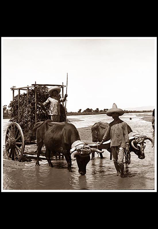 Carreta en el Río Atoyac