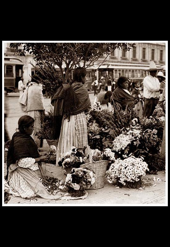 Vendedoras de flores en el Zócalo